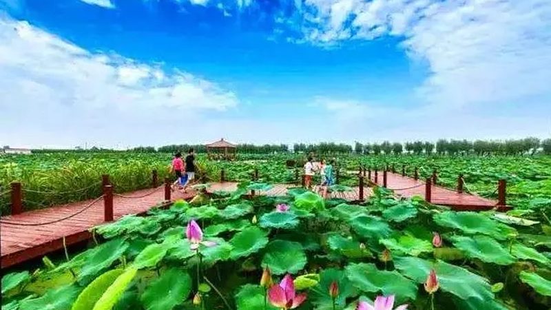 家庭农场规划：从成功案例看关键要素**