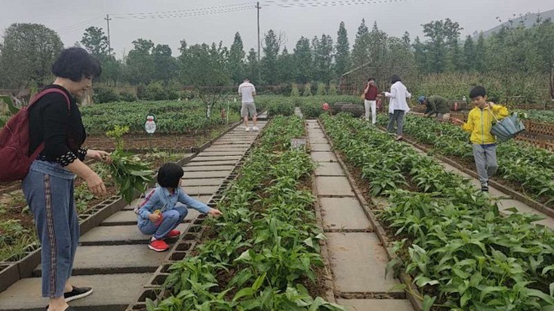 家庭农场补贴申请，如何轻松找到平台入口？**