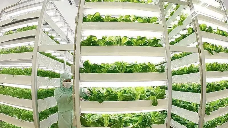 无土栽培种植槽：揭秘其尺寸规格与选择要点
