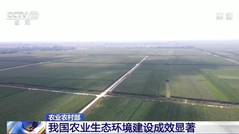 果蔬配送代理加盟：费用构成与合理评估