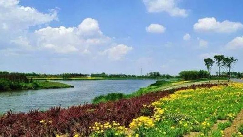 农业研学基地建设方案：打造绿色农业新地标**