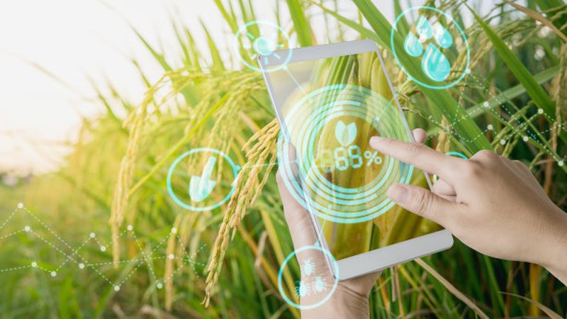 优质的水果种植公司应具备以下技术实力：