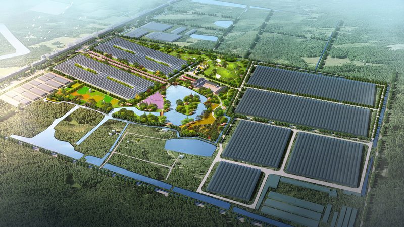 农业项目加盟代理，费用构成及影响因素解析