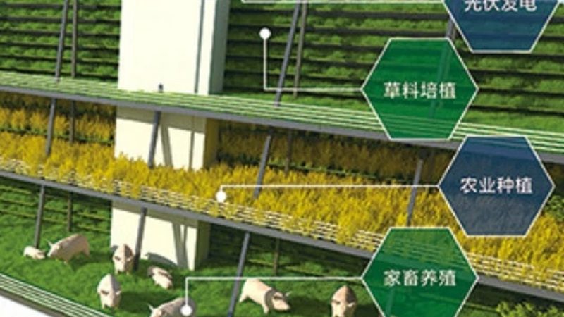 有机蔬菜认证标志怎么辨别真伪