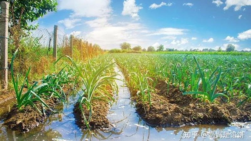 农资短视频获客技巧教程