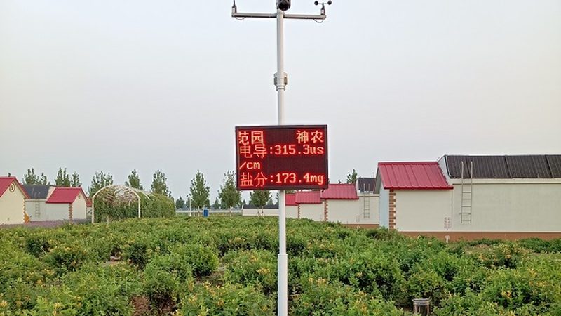 进口农产品批发清关流程全解析