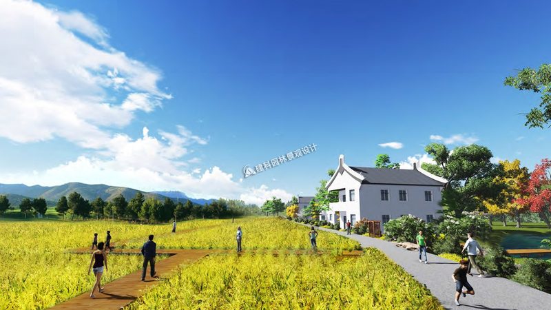 上海循环农业模式：探索可持续发展的新路径**