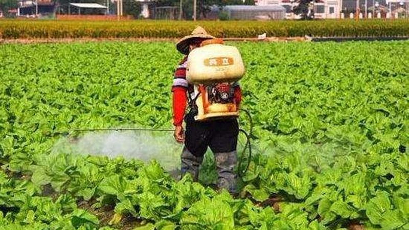 农村种植补贴申请流程